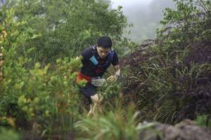 BIB: 256
                            <button type="button" onclick="openModal(24736205)" class="btn btn-primary btn-sm float-right btn-popup" data-toggle="modal" data-target=".modal-high-quality">
                        <i class="fas fa-shopping-cart"></i> Add to Cart
                    </button>
                                            <button type="button" onclick="isThisMe(24736205, true)" class="btn btn-success btn-sm float-right btn-popup btn-isme hidden" data-toggle="tooltip" data-placement="bottom" title="นี่คือรูปของคุณใช่ไหม คลิกที่นี่เพื่อเอาเข้าอัลบั้ม">
                        <i class="fas fa-plus"></i> Add to album
                    </button>
                    <button type="button" onclick="isThisMe(24736205, false)" class="btn btn-warning btn-sm float-right btn-popup btn-isnotme hidden">
                        <i class="fas fa-ban"></i> Remove from album
                    </button>